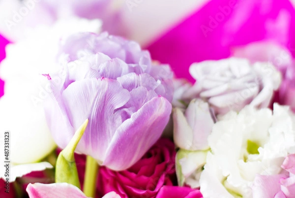 Fototapeta Tulips in a bouquet, close-up of flowers