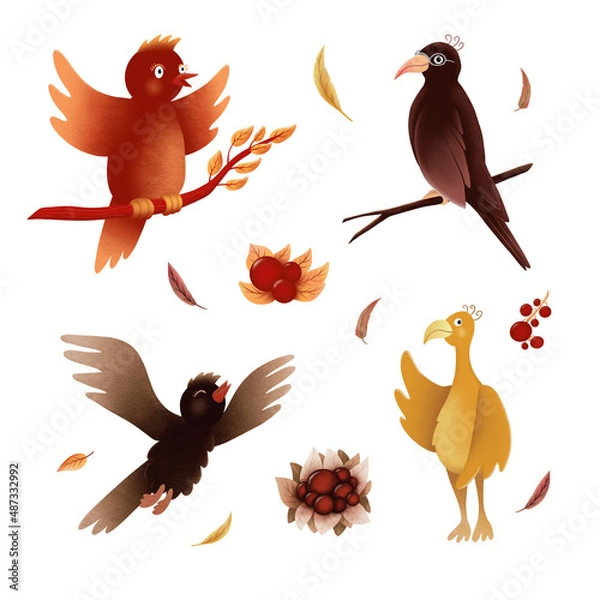 Obraz set of birds and feathers