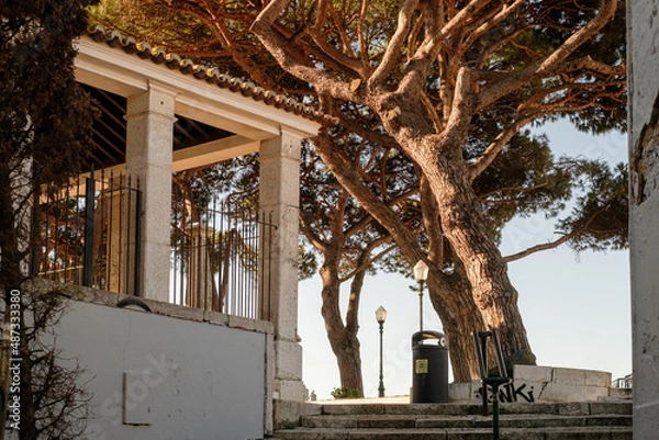 Obraz Miradouro Nossa Senhora do Monte