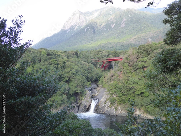 Obraz 屋久島トローキの滝