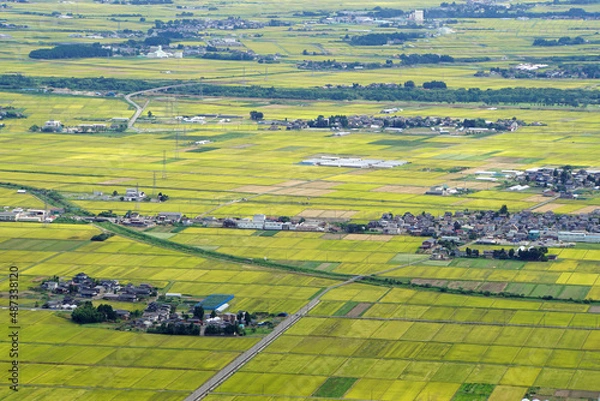 Obraz 庄内平野の実りの秋