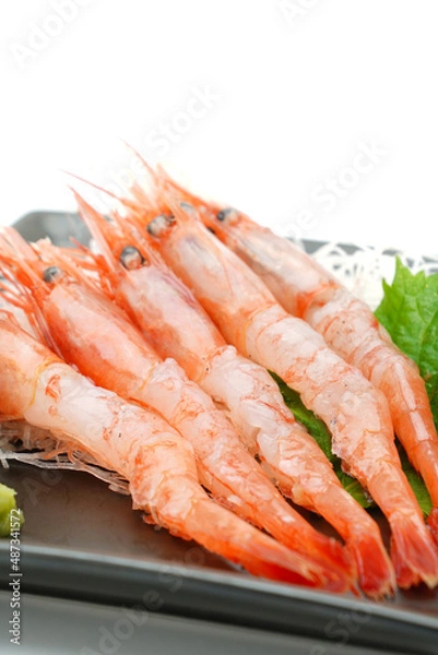 Fototapeta 甘海老の刺身