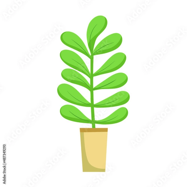 Obraz Home plant in a pot. Vector illustration isolated on white background.