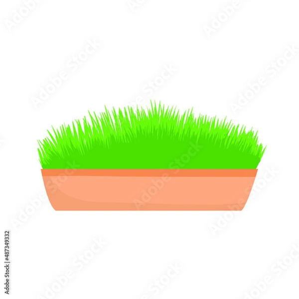 Obraz Home plant in a pot. Vector illustration isolated on white background.