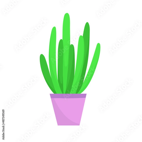 Obraz Home plant in a pot. Vector illustration isolated on white background.