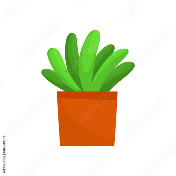 Obraz Home plant in a pot. Vector illustration isolated on white background.