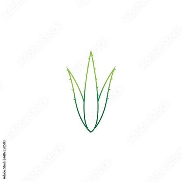 Obraz Aloe vera logo vector ilustration template