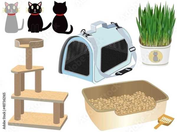 Fototapeta 猫　飼育セット