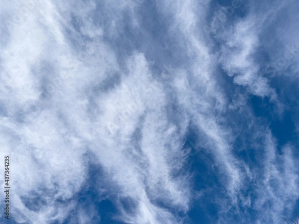 Obraz 青空と綿菓子のような白い雲