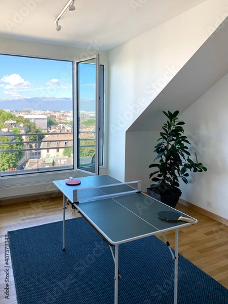 Obraz Ping-pong d'intérieur