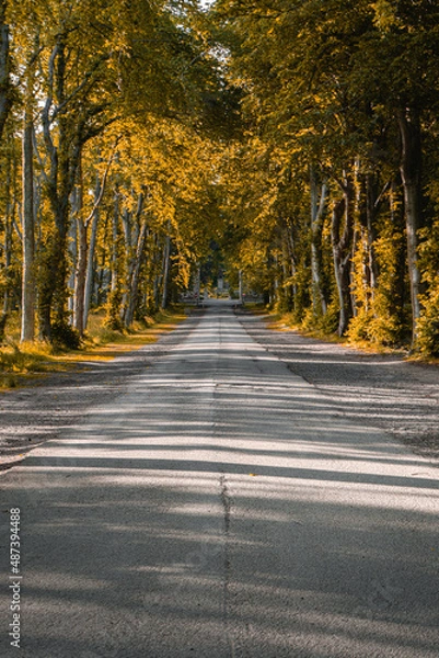 Obraz Dunrobin Castle & Gardens