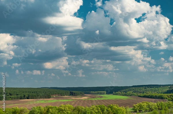 Obraz Panorama view with meadow, forest and dramatic cloudy sky