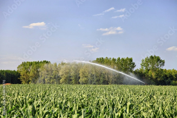 Obraz Wiese sprengen