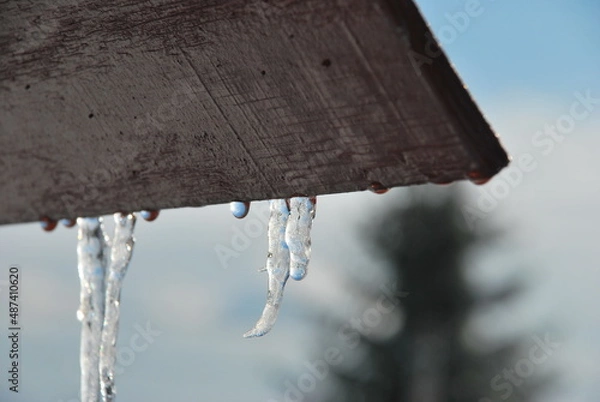 Obraz Icicles