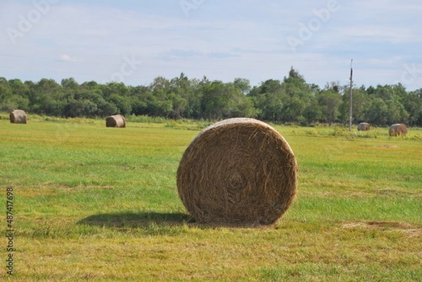 Obraz Hay bale and field