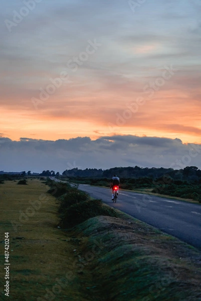 Fototapeta New Forest Sunset