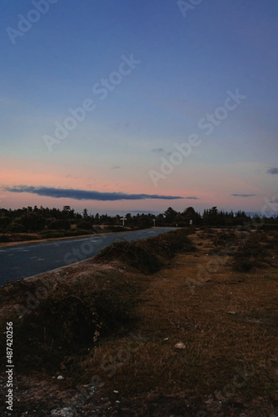 Fototapeta New Forest Sunset