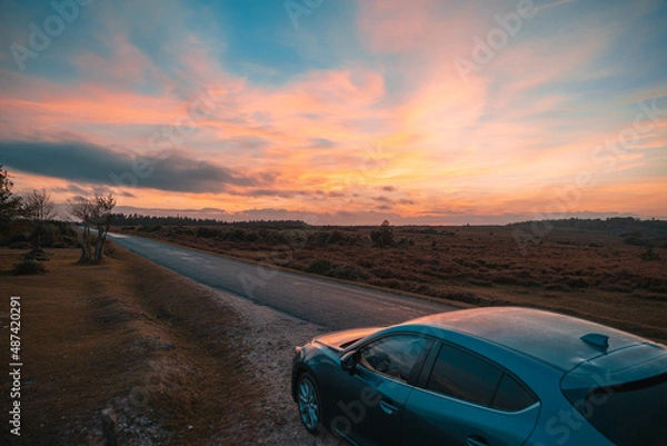 Fototapeta New Forest Sunset