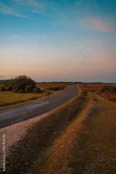 Fototapeta New Forest Sunset