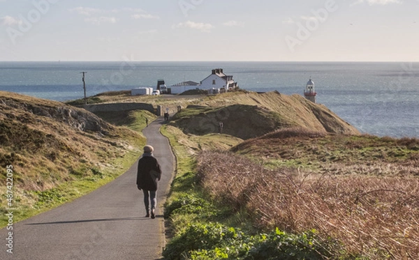 Obraz Howth cliff path