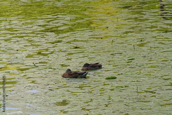 Obraz _DSC20210813B17