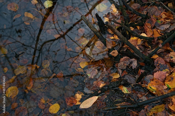 Obraz _DSC20211021F10