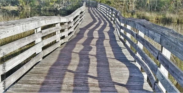 Fototapeta fence in the swamp