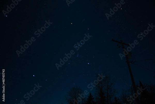 Obraz The constellation Orion overhead on a starry night