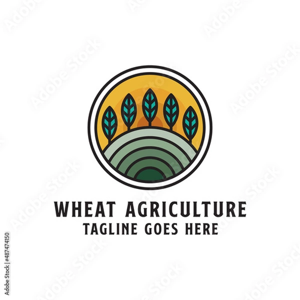 Obraz Nature Wheat agriculture logo design badge, line art farm logo vector illustration