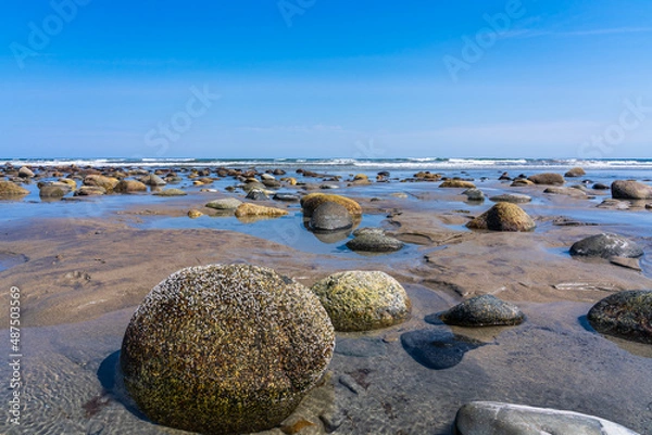 Fototapeta Shell-covered boulders and crystal clear waters at low tide from the Atlantic Ocean at Hampton Beach, one of the four superstar beaches in the USA