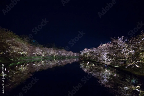 Fototapeta 桜並木の夜桜