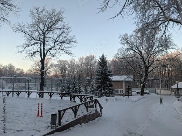 Obraz winter in the park