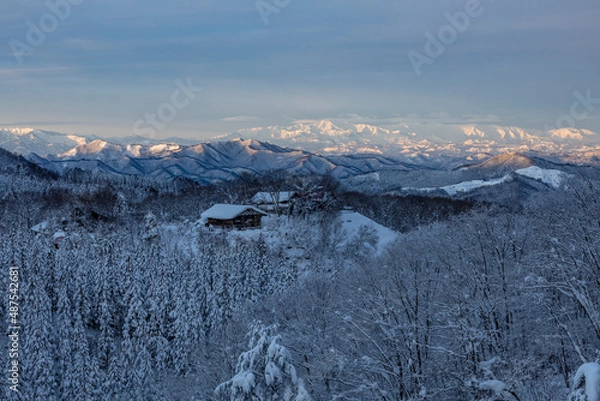 Fototapeta 霧氷の木々　雪に覆われた山々
