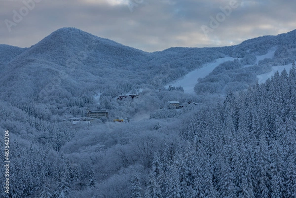 Fototapeta 霧氷の木々　雪に覆われた山