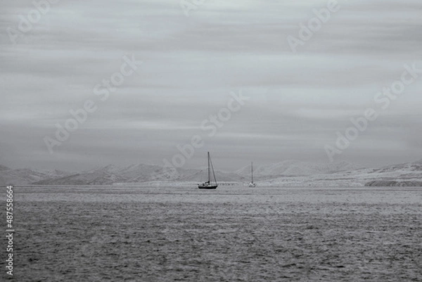 Fototapeta fog over the river
