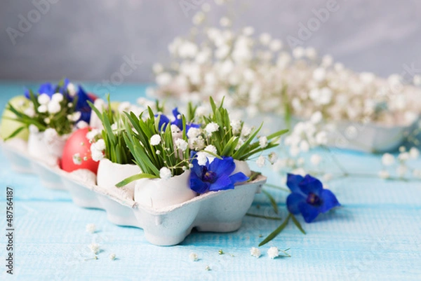 Obraz Easter. Painted eggs. Grass and flowers in a shell. Easter Still Life