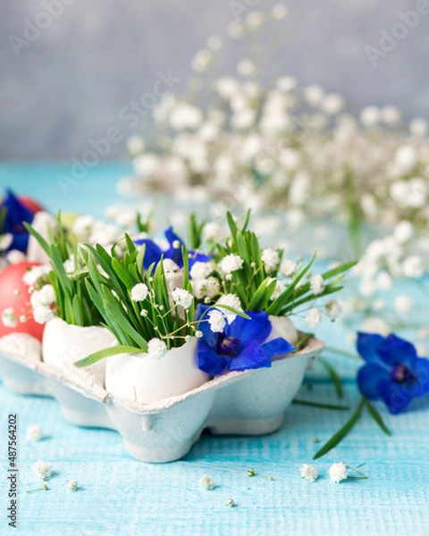 Obraz Easter. Painted eggs. Grass and flowers in a shell. Easter Still Life