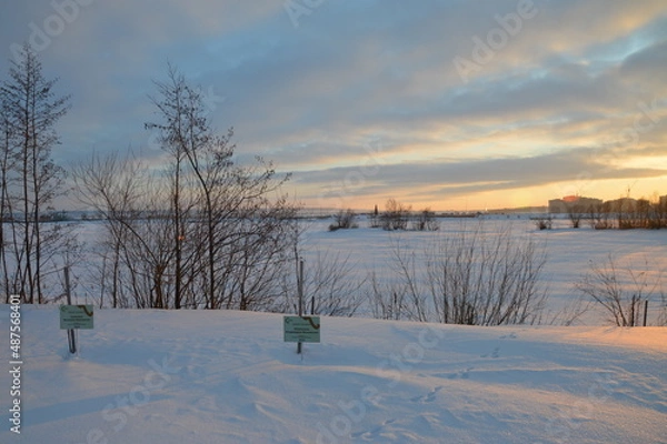 Fototapeta winter landscape with snow