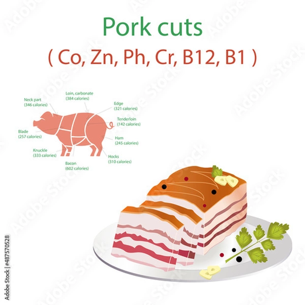 Fototapeta A piece of bacon with a layer of meat on a plate with pepper, garlic sticks and grass. Pork cutting scheme with description and calories.