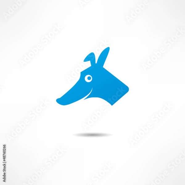 Fototapeta A smiling dog.