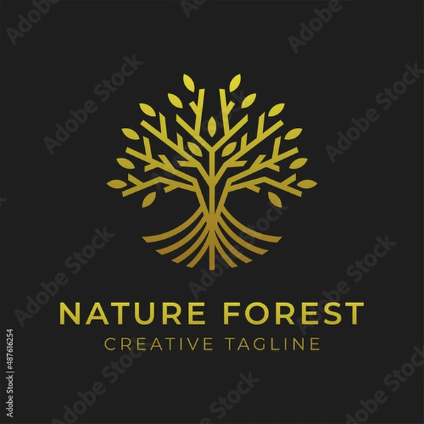 Obraz Luxury simple tree lines logo design
