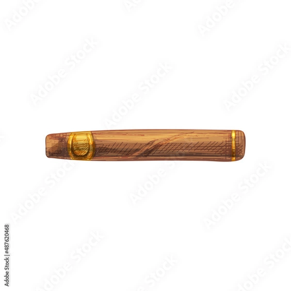 Obraz Cigar. Vector vintage hatching color illustration isolated on white