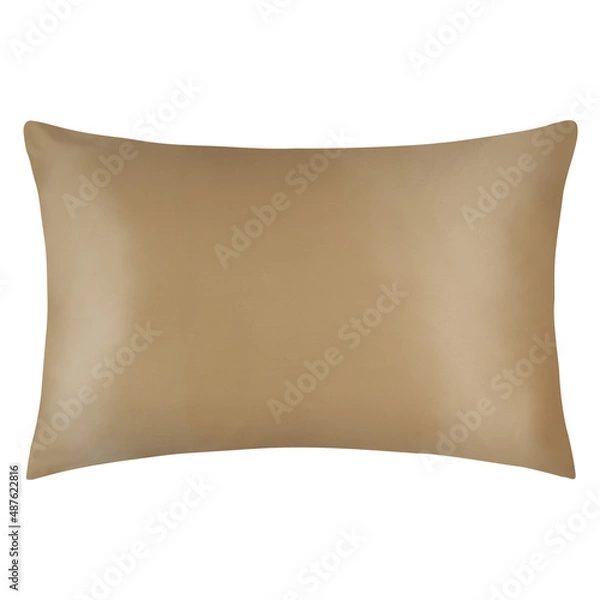 Obraz Silk Pillowcase transparent PNG