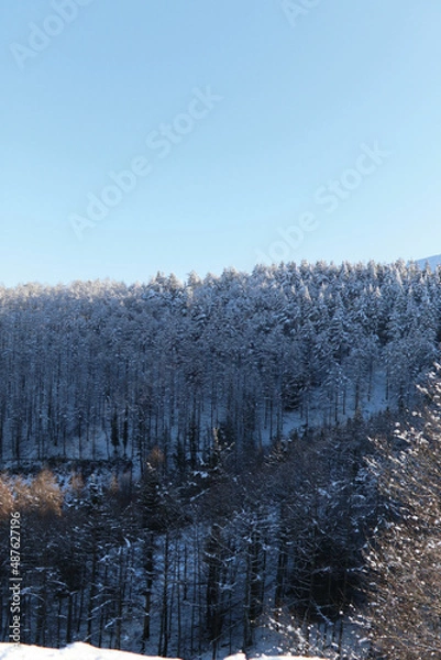 Obraz A winter in the basque country