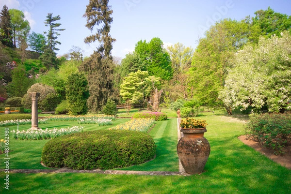 Fototapeta Colorful and beautiful spring flowers blooming on a garden in natural summer or spring background.