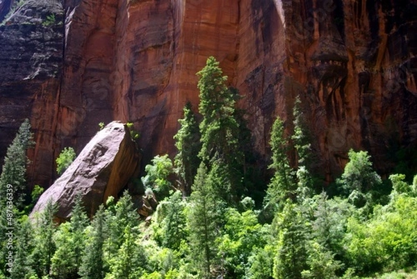Obraz Trees with red rock cliffs in background