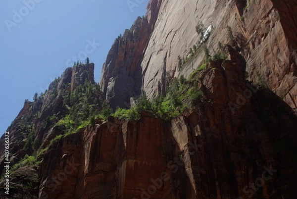 Obraz Red rock cliff with trees