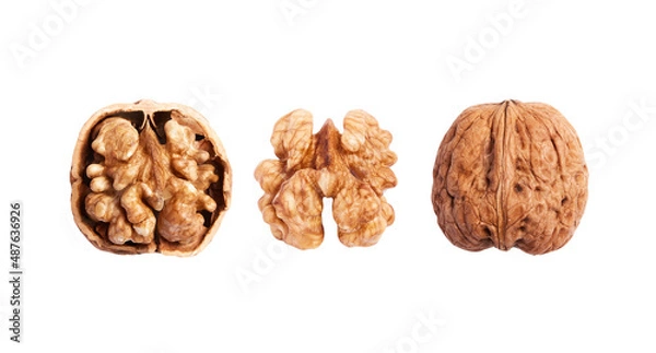 Obraz isolated walnuts on white background