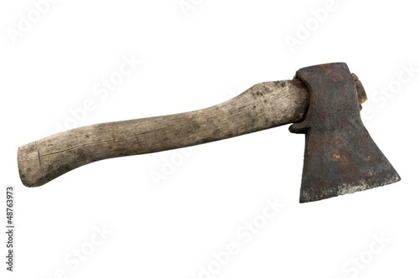 Obraz Old axe
