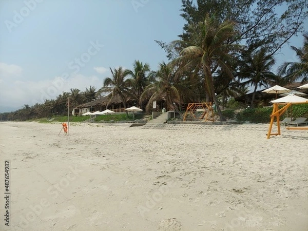 Obraz beach with palm trees